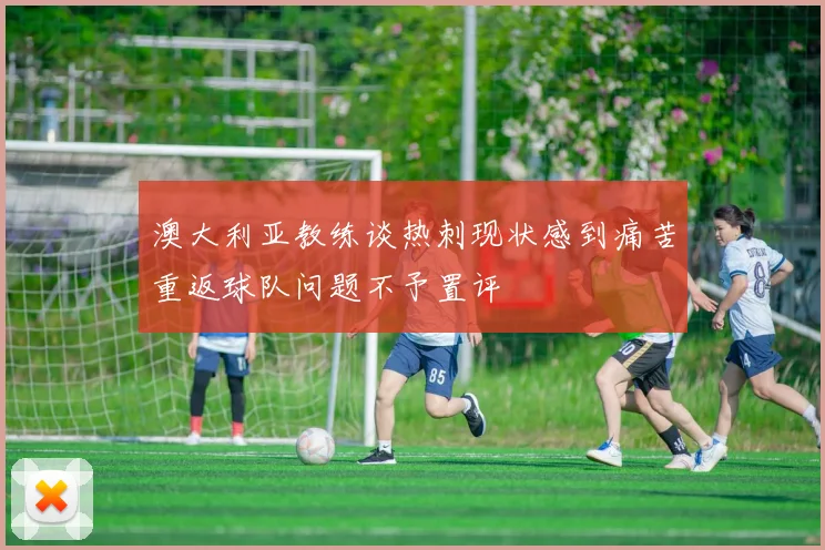 澳大利亚教练谈热刺现状感到痛苦重返球队问题不予置评